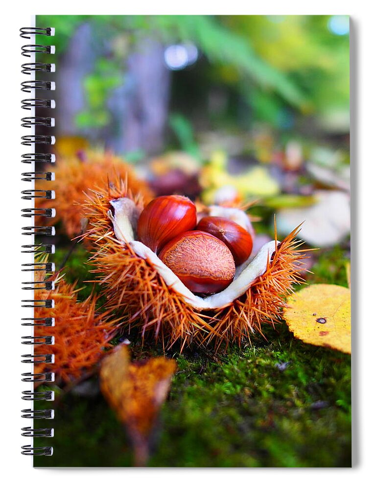 Karuizawa Spiral Notebook featuring the photograph Taste Of Autumn by Marco Ferrarin