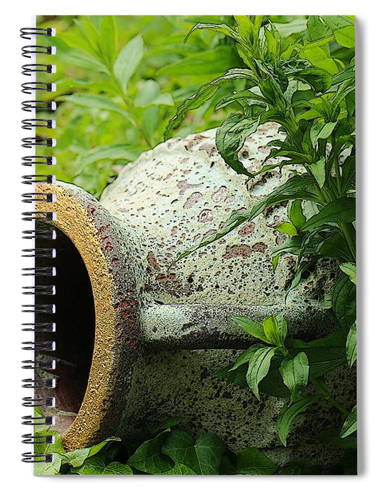 Nature Spiral Notebook featuring the photograph Terracotta vase in the green by Amanda Mohler