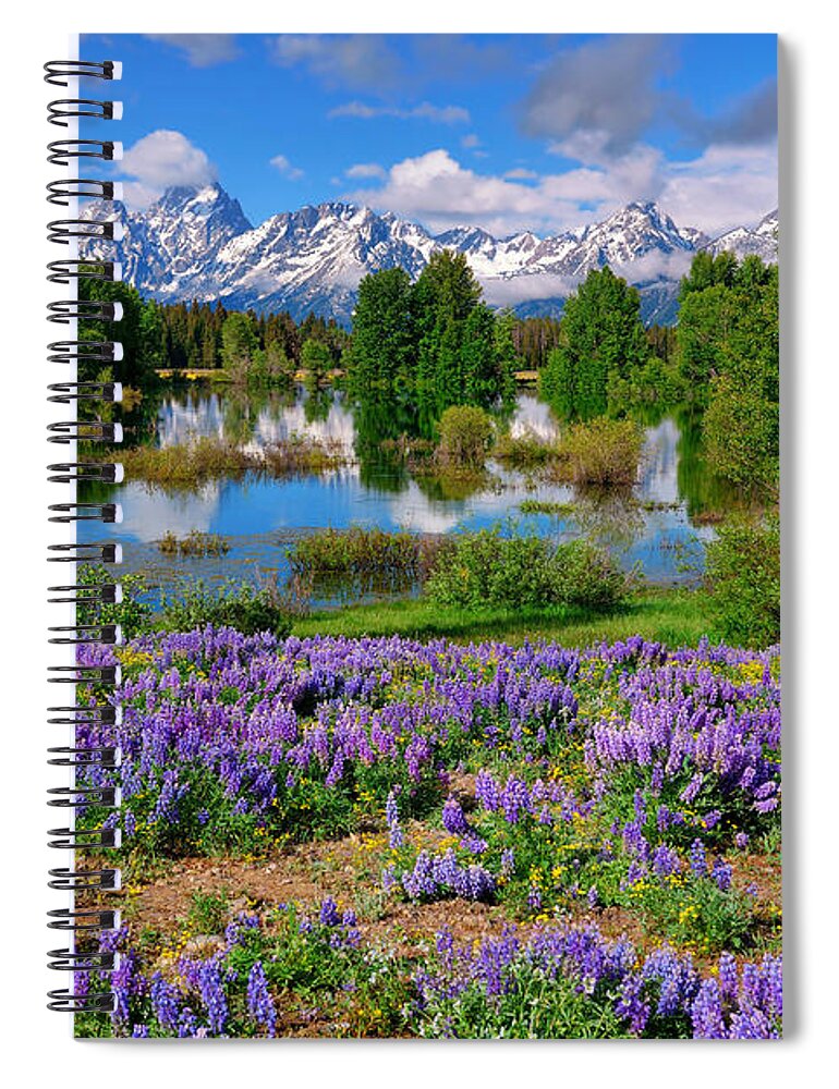 Grand Teton National Park Spiral Notebook featuring the photograph Teton Spring Lupines by Greg Norrell