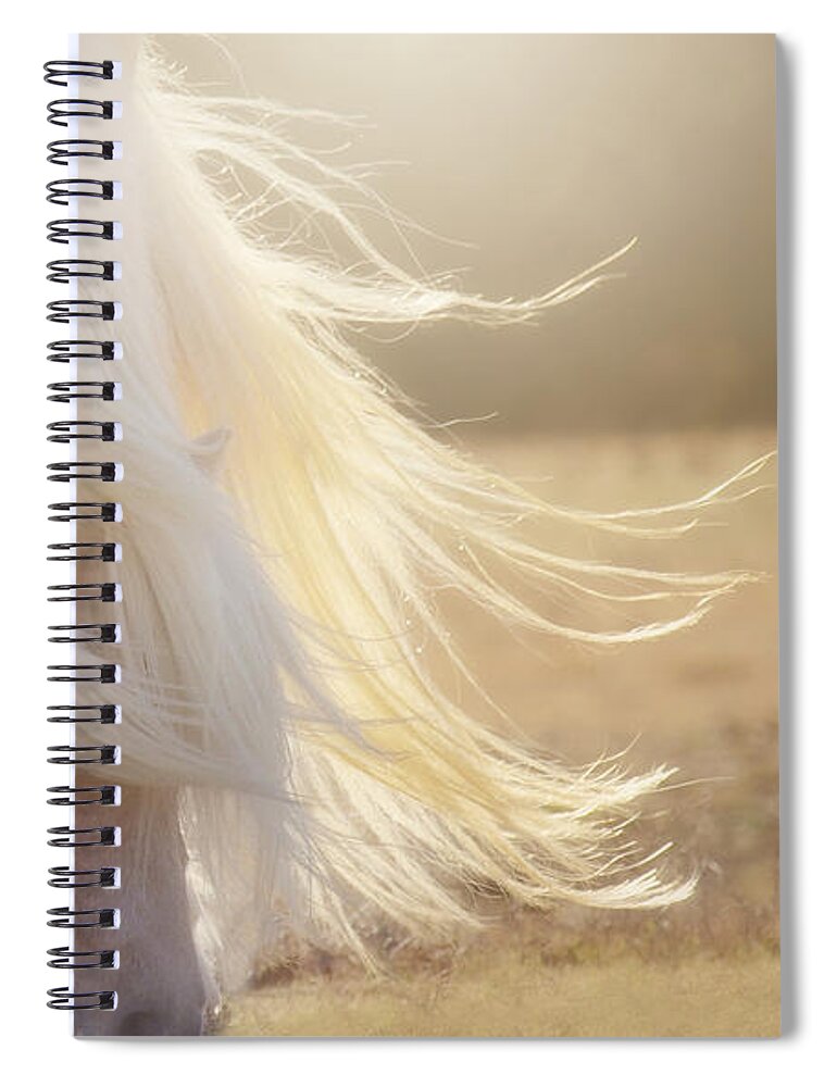Texas Spiral Notebook featuring the photograph Texas Gold by Amanda Smith