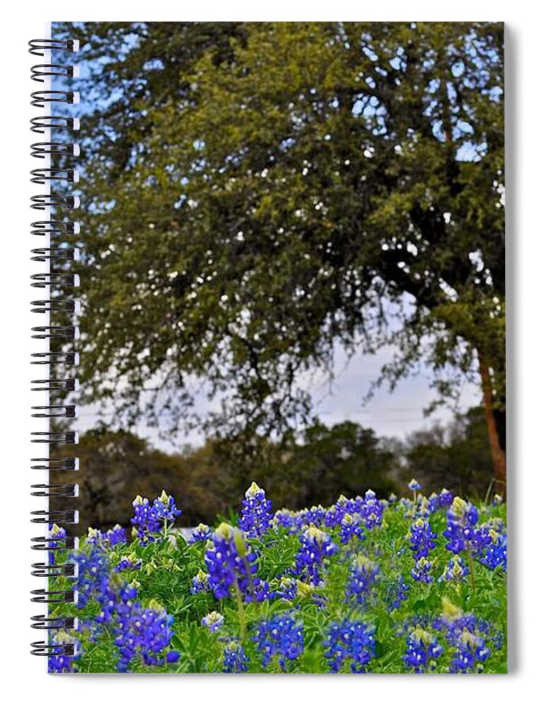 Texas Flower Spiral Notebook featuring the photograph Texas Bluebonnet Field by Kristina Deane