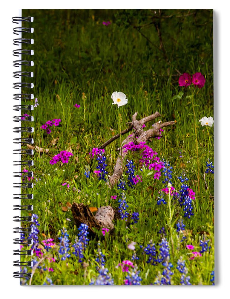 Lupinus Texensis Spiral Notebook featuring the photograph Texas Roadside Wildflowers 742 by Melinda Ledsome