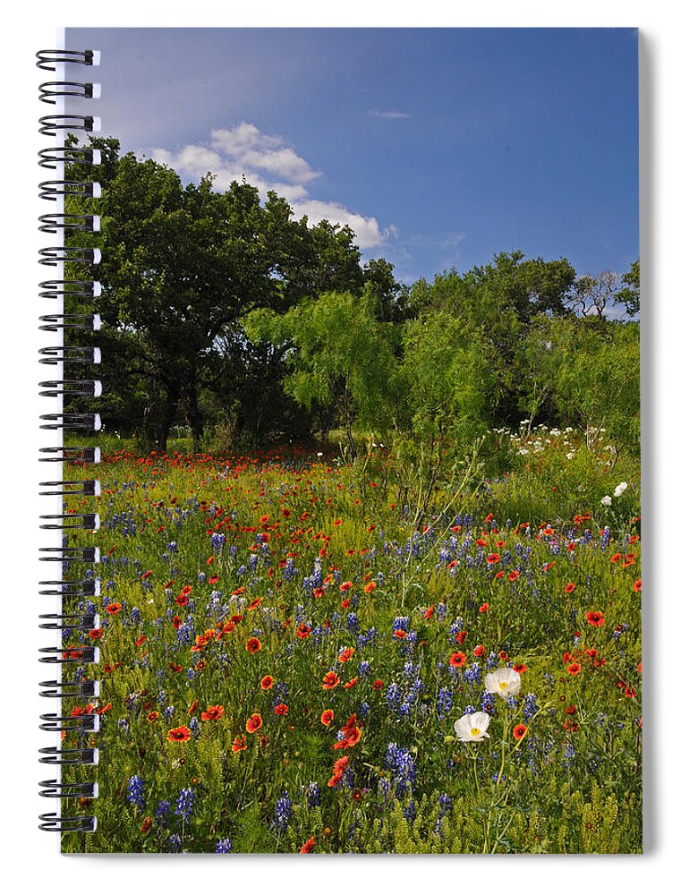 Wildflowers Spiral Notebook featuring the photograph Texas Spring Spectacular by Lynn Bauer