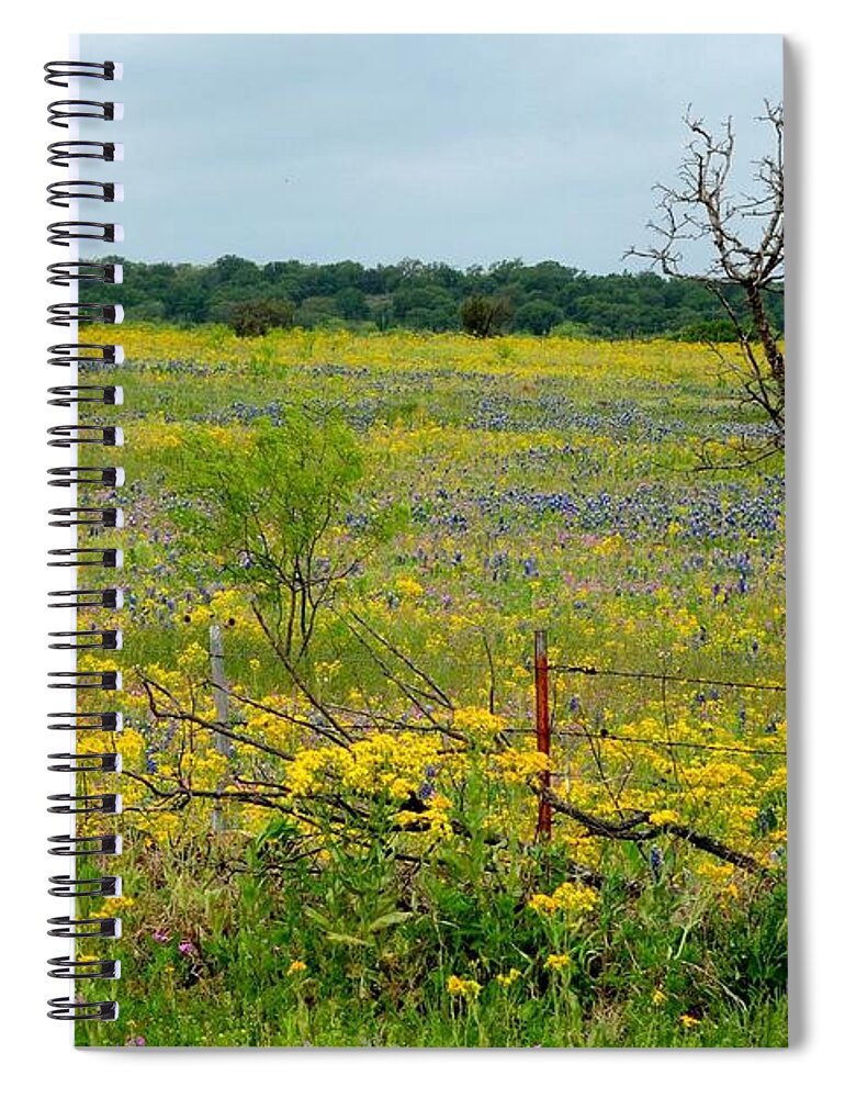 Texas Spiral Notebook featuring the photograph Texas Wildflowers and Mesquite Tree by Marilyn Burton