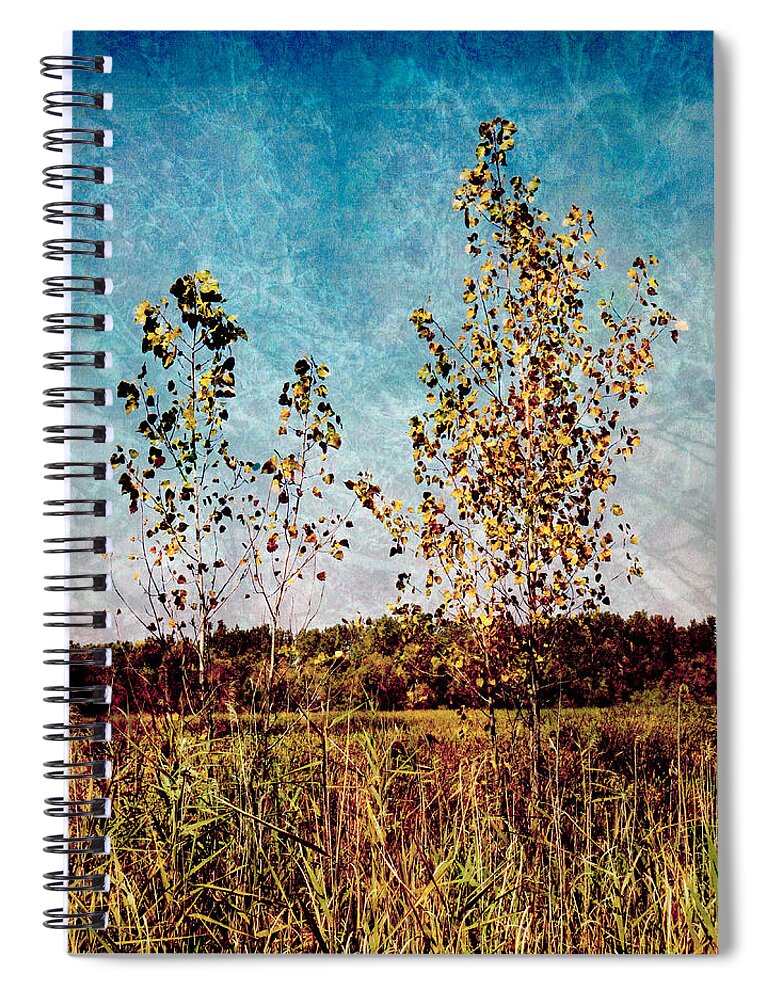 Trees Spiral Notebook featuring the photograph Textural Trees by Shawna Rowe
