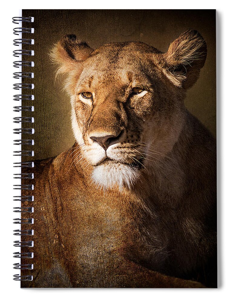 Africa Spiral Notebook featuring the photograph Textured Lioness Portrait by Mike Gaudaur