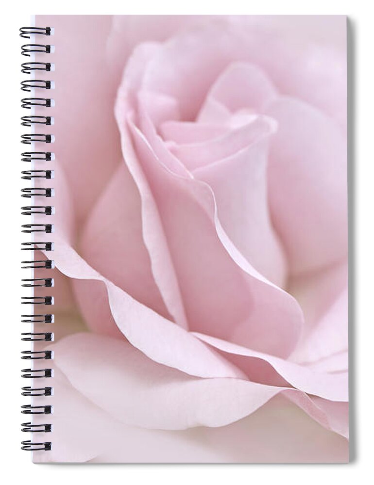 Rose Spiral Notebook featuring the photograph The Ballerina Pink Rose Flower by Jennie Marie Schell