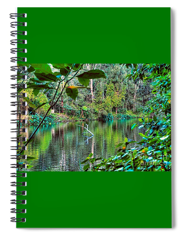 Photography Spiral Notebook featuring the photograph The Beautiful Greens of Nature 2 by Kaye Menner