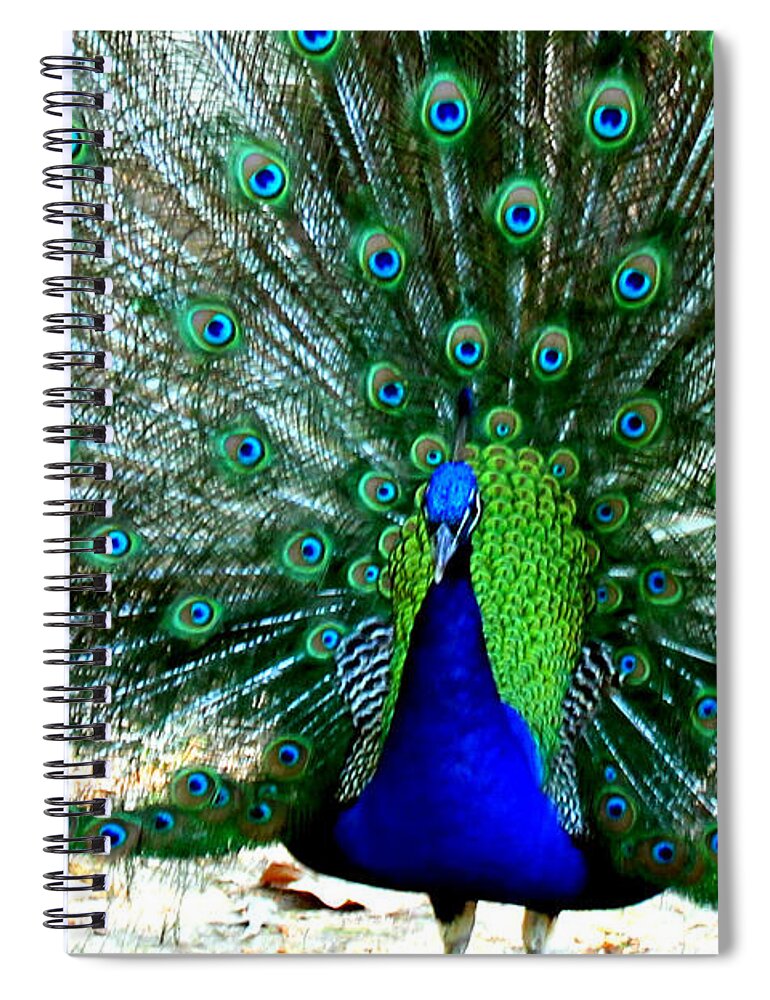 Peacocks Spiral Notebook featuring the photograph The Beautiful Plumage by Kathy White