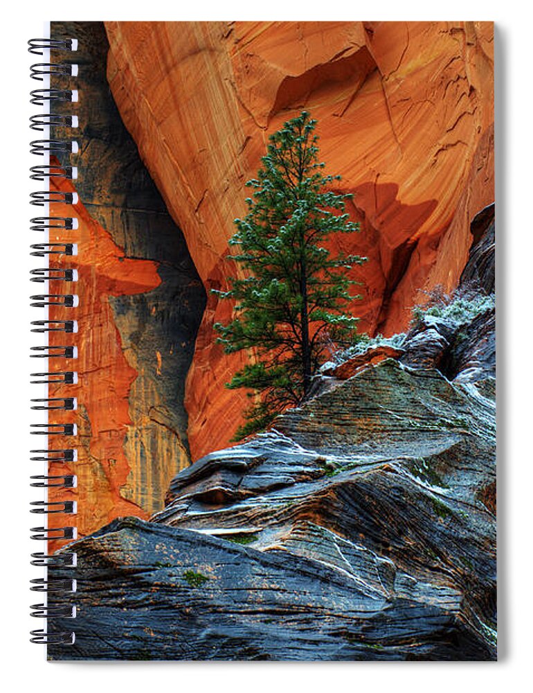 Beauty Spiral Notebook featuring the photograph The Beauty Of Sandstone Zion by Bob Christopher