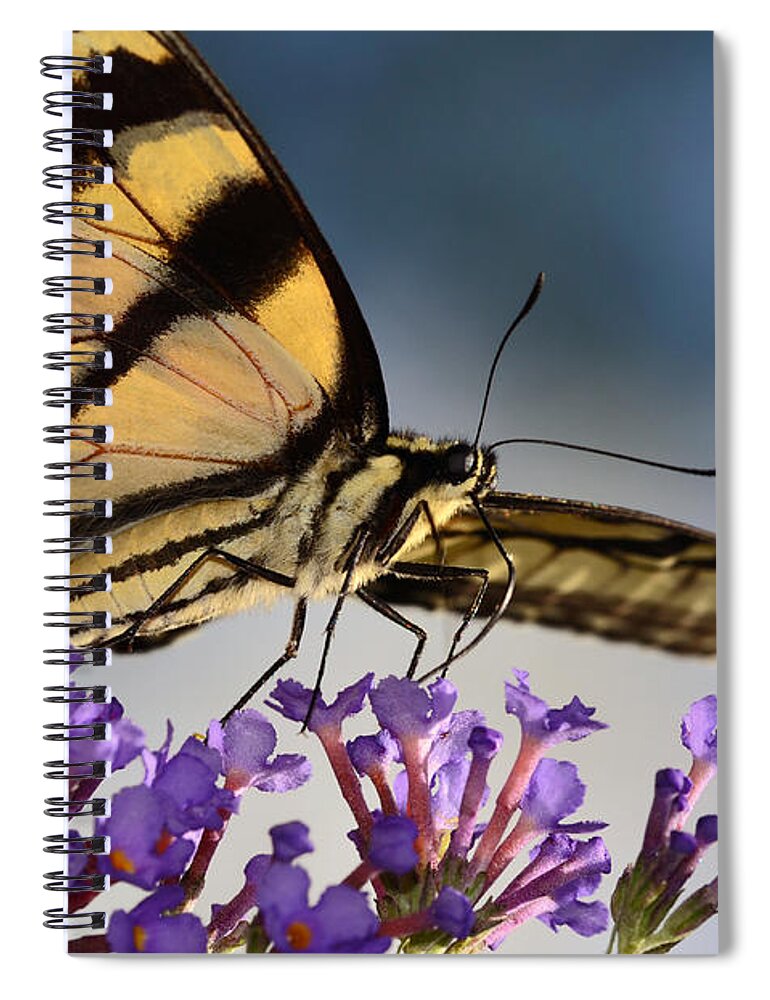 Butterfly Spiral Notebook featuring the photograph The Butterfly by Lori Tambakis