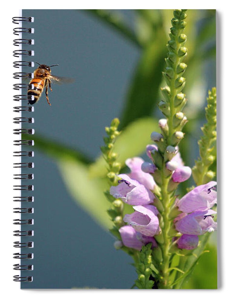 Bee Spiral Notebook featuring the photograph The Buzz by Jackson Pearson