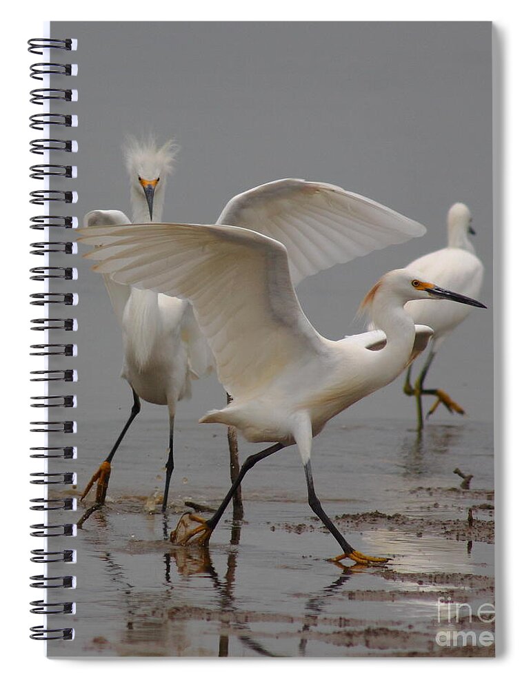 Egret Spiral Notebook featuring the photograph The Chase by Robert Frederick