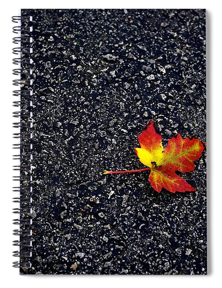 Photo Spiral Notebook featuring the photograph The Colors of Autumn by Frank J Casella