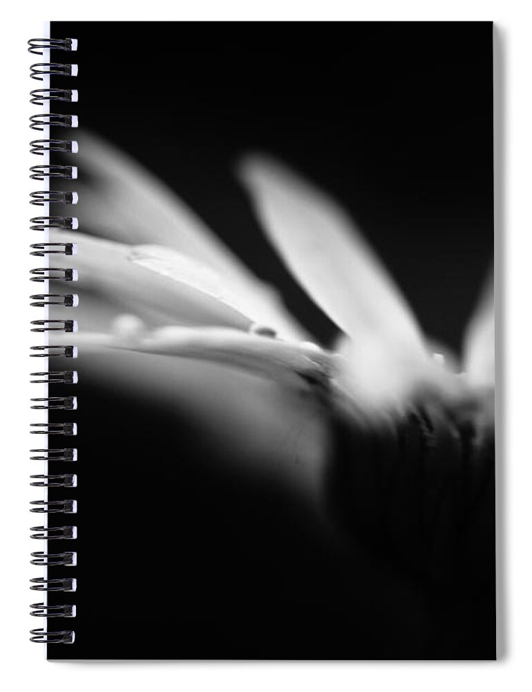 Flower Spiral Notebook featuring the photograph The Delicate Crash Of A Wave by Shane Holsclaw