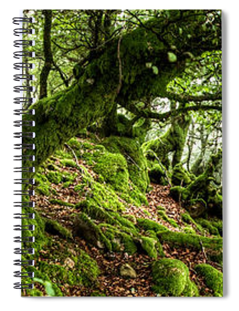 Forest Spiral Notebook featuring the photograph The Elven forest No2 Wide by Weston Westmoreland