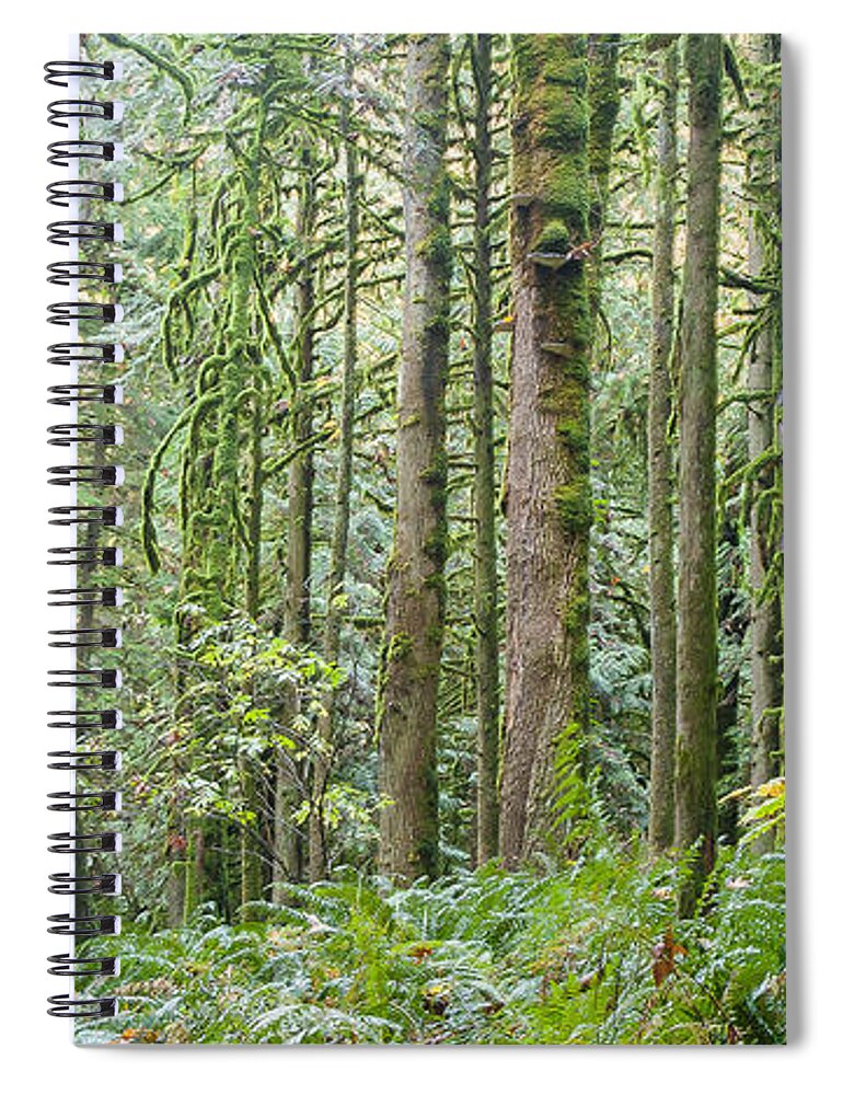 Tree Spiral Notebook featuring the photograph The Emerald Forest by Linda McRae