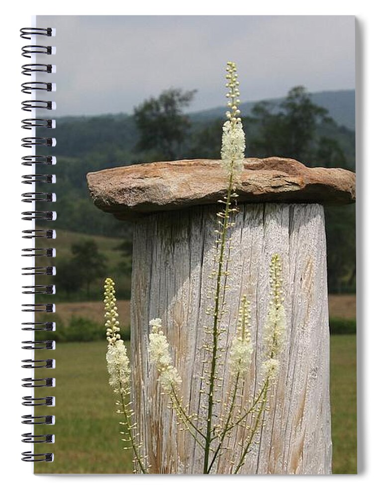 Fall Spiral Notebook featuring the photograph Fall Harvest by Yvonne Wright