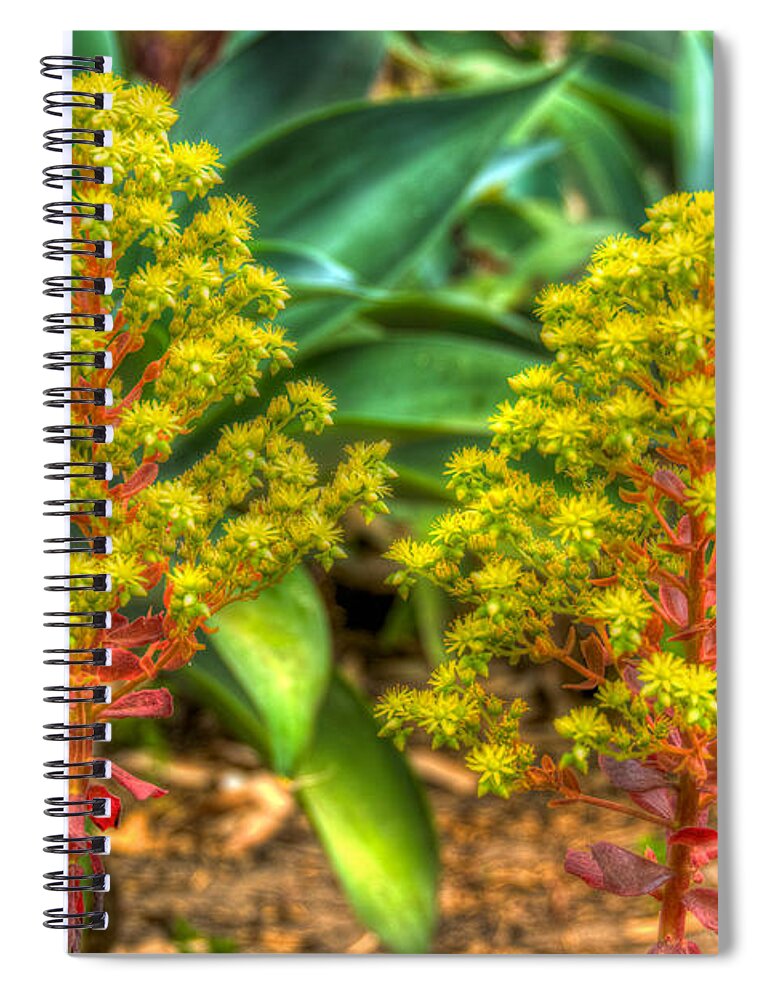 Flower Spiral Notebook featuring the photograph The Flower 4 by Richard J Cassato