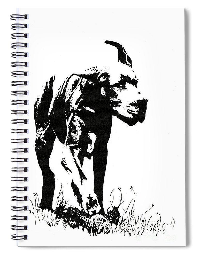 Dog Spiral Notebook featuring the drawing The Great Dane by Kate Black