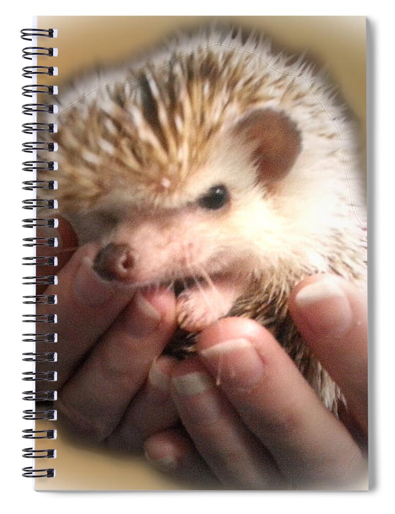 Animal Spiral Notebook featuring the photograph The Hands Who Cares For The Animals by Donna Brown