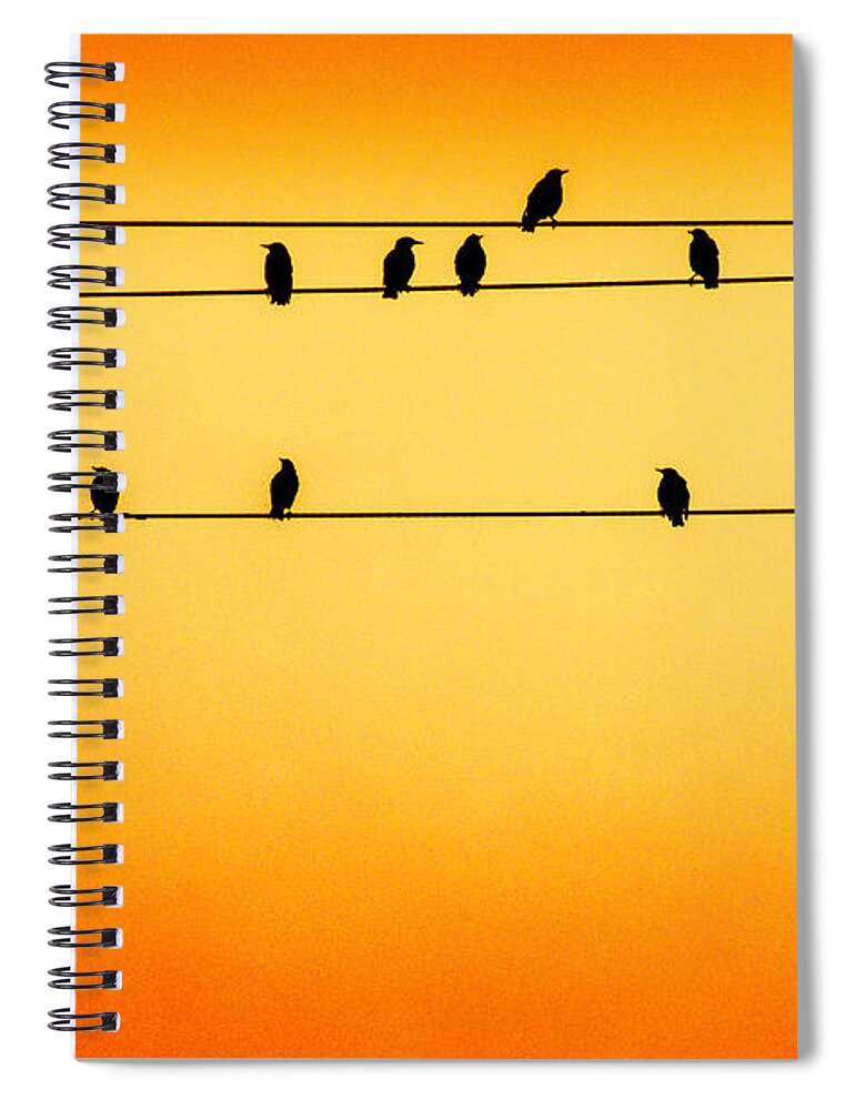 Bird Spiral Notebook featuring the photograph The Hang Out #2 by Michael Arend