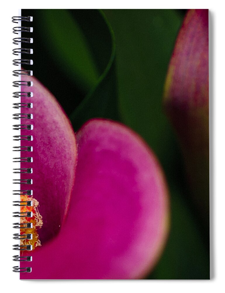 Calla Spiral Notebook featuring the photograph The Heart of the Lily by Christi Kraft