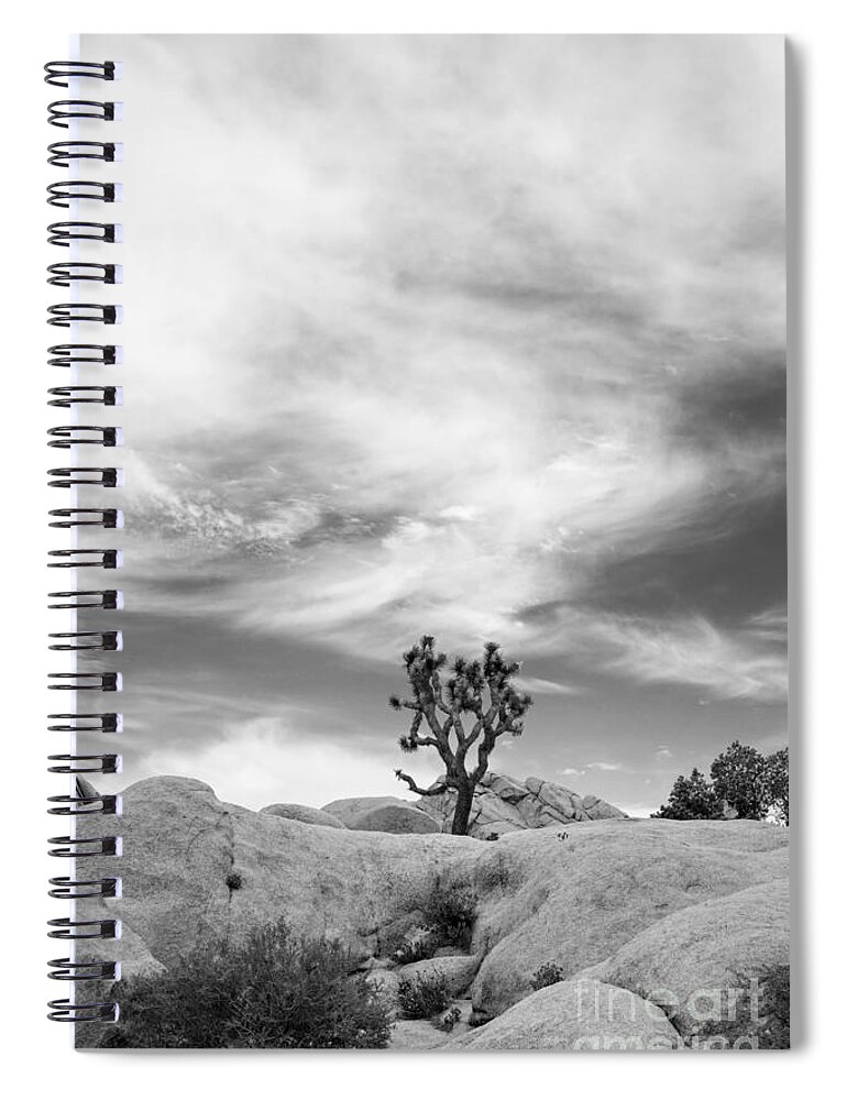 Joshua Tree Spiral Notebook featuring the photograph The Joshua Tree by Jennifer Magallon