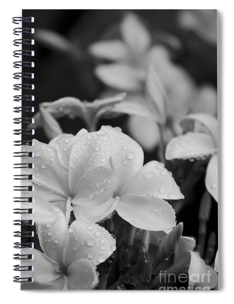 Plumeria Spiral Notebook featuring the photograph The joy of how you whisper by Sharon Mau