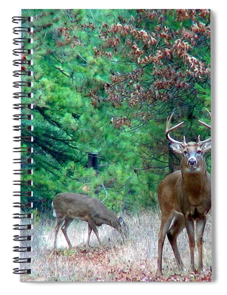 Whitetail Spiral Notebook featuring the photograph The King by Thomas Young