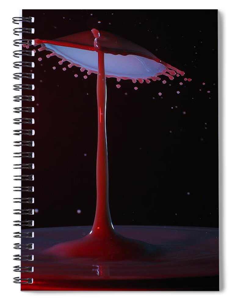 Water Drops Spiral Notebook featuring the photograph The Lamp by Kevin Desrosiers