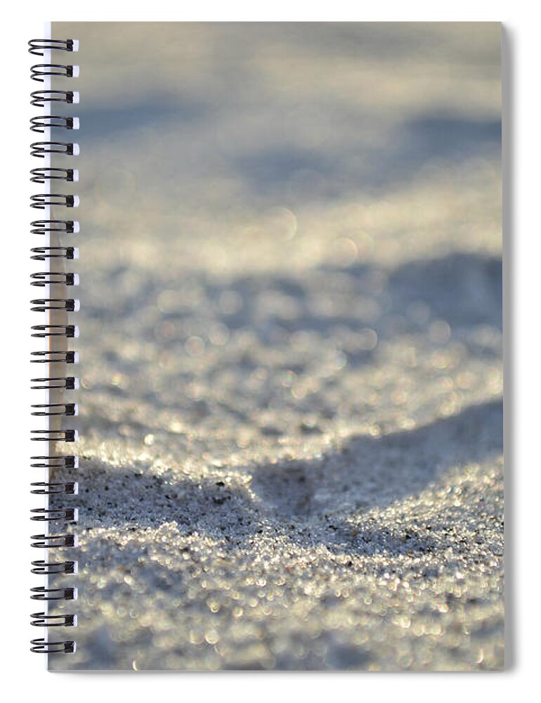 Seashell Spiral Notebook featuring the photograph The Lettered Olive by Melanie Moraga