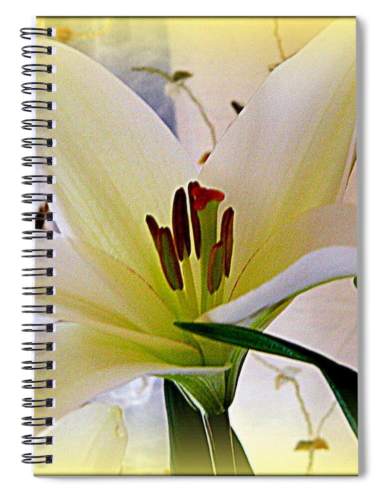 Bouquet Spiral Notebook featuring the photograph The Lily by Kathy Barney