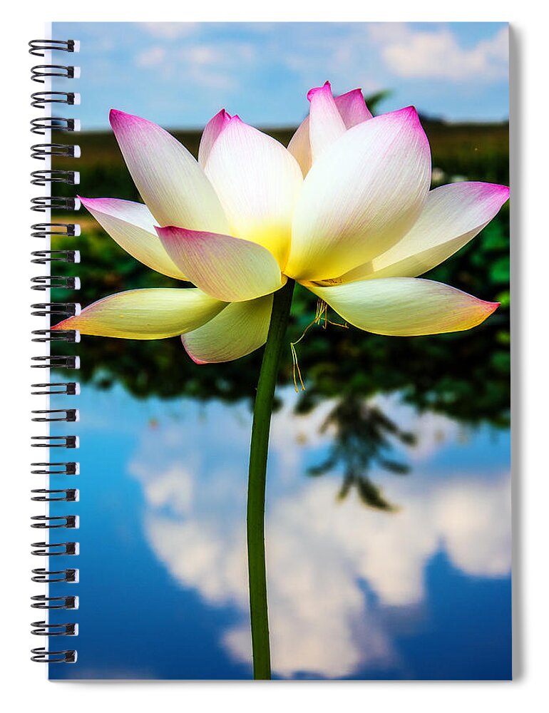 Lotus Spiral Notebook featuring the photograph The Lotus Blossom by Jon Woodhams
