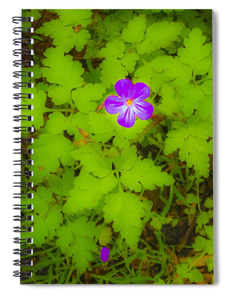 The Magic Forest Spiral Notebook featuring the photograph The Magic Forest-16 by Casper Cammeraat