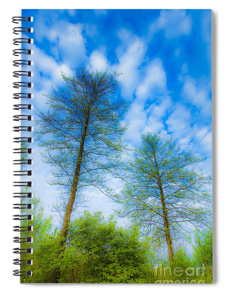 The Magic Forest Spiral Notebook featuring the photograph The Magic Forest-23 by Casper Cammeraat