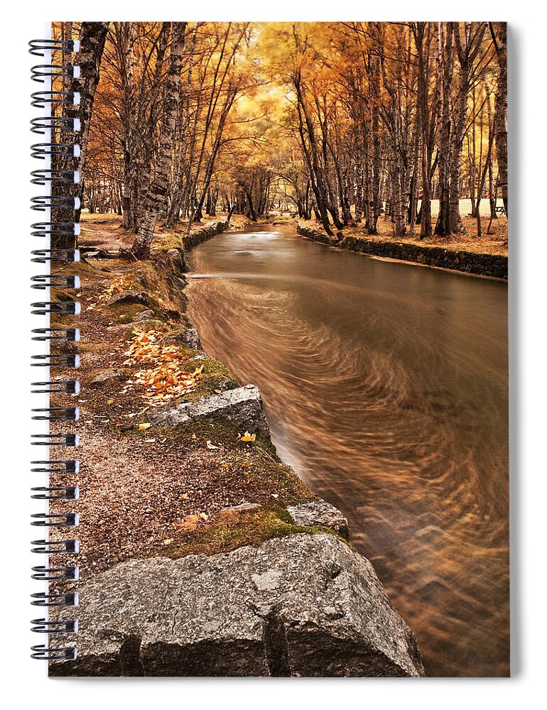 Fall Spiral Notebook featuring the photograph The magic of fall by Jorge Maia