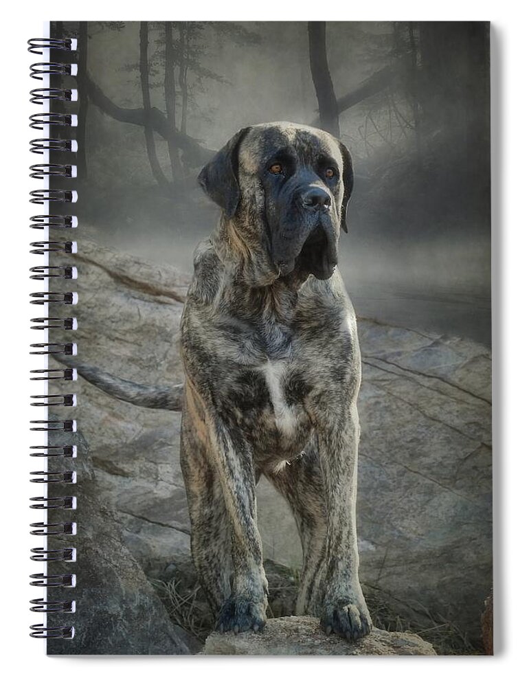 Mastiff Spiral Notebook featuring the photograph The Mastiff by Fran J Scott