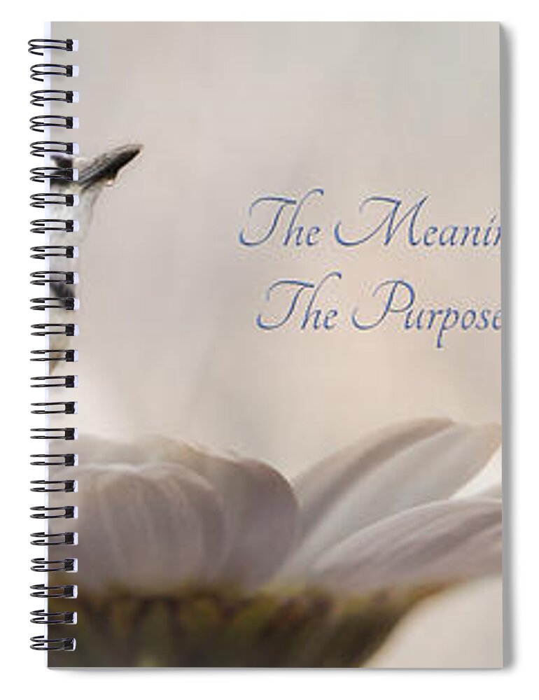 Blue Spiral Notebook featuring the photograph The Meaning of Life by Lori Deiter