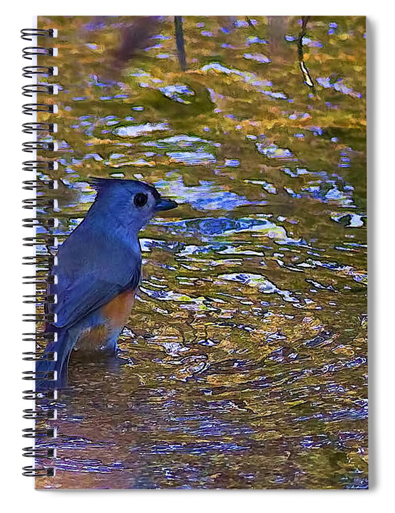 Reflections Spiral Notebook featuring the photograph The Naiad by Gary Holmes