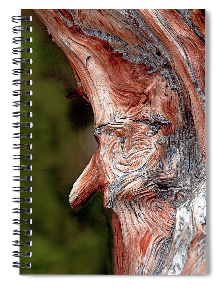 Tree Photography. Faces In Tree. Nature Photography. Fantasy Photography. Tree Photography Greeting Cards. Rocky Mountain Park Phopotography. Fine Wall Art Photography. Images In Nature. Landscape Photography. Mixed Media. Mixed Media Photography. Mixed Media Tree Photography. Spiral Notebook featuring the photograph The Old Man In The Tree by James Steele