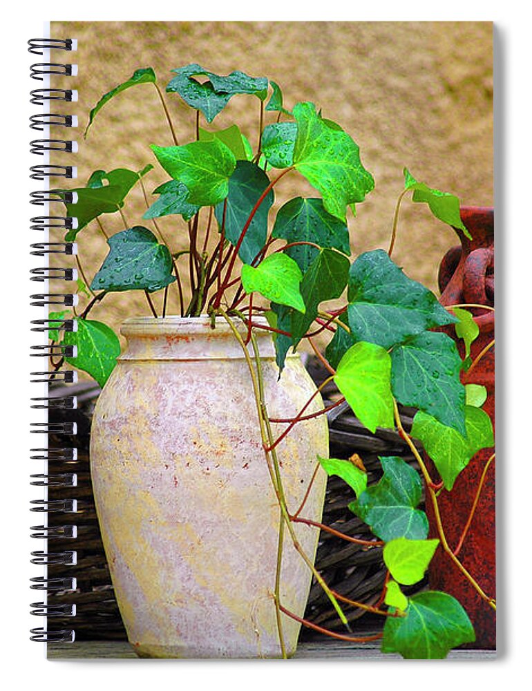 Vase Spiral Notebook featuring the photograph The Old Times by Carolyn Marshall