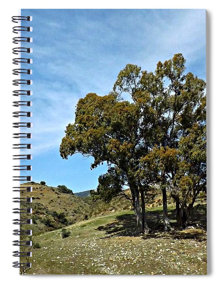 Spain Spiral Notebook featuring the photograph The Other Side of Spain by Clare Bevan