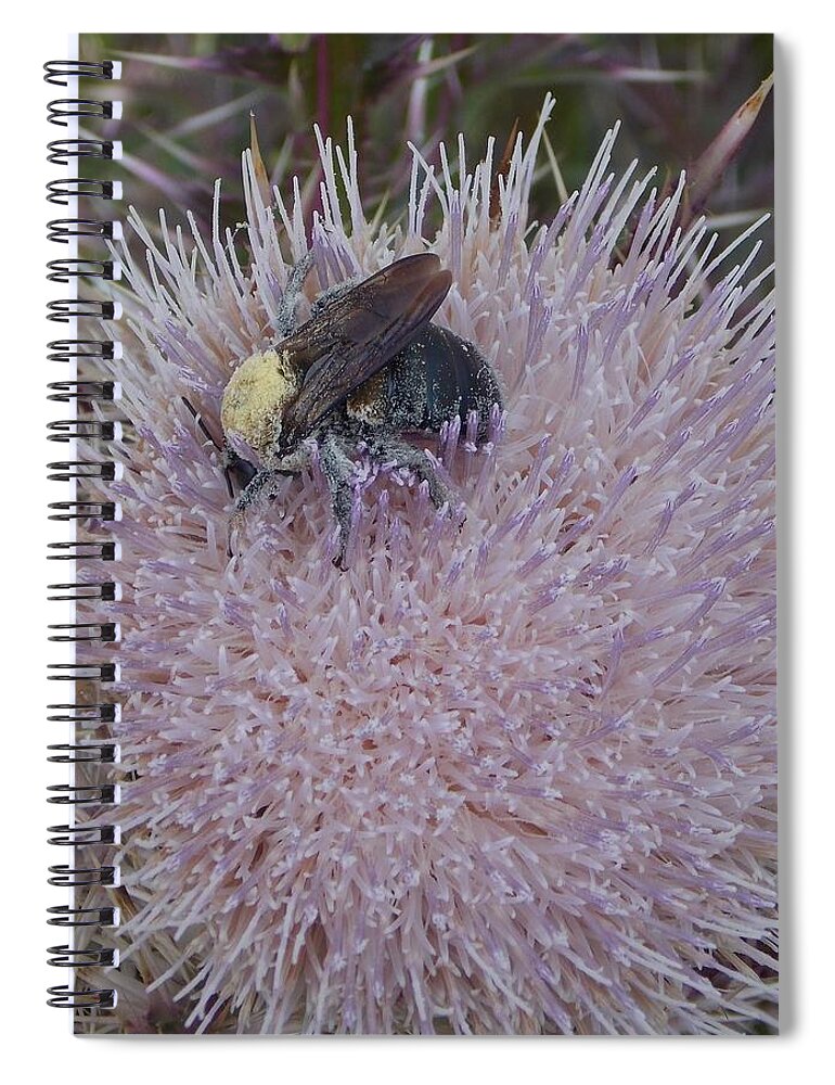 Louisiana Spiral Notebook featuring the photograph The Pollen Count Is High Today by John Glass