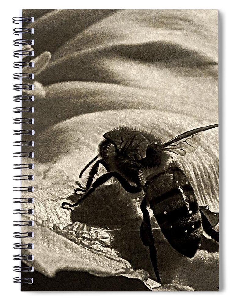 Nature Spiral Notebook featuring the photograph The Pollinator by Chris Berry