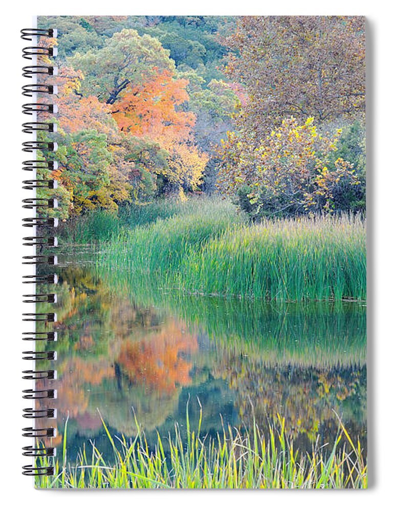 Lost Maples Spiral Notebook featuring the photograph The Pond at Lost Maples State Natural Area - Texas Hill Country by Silvio Ligutti