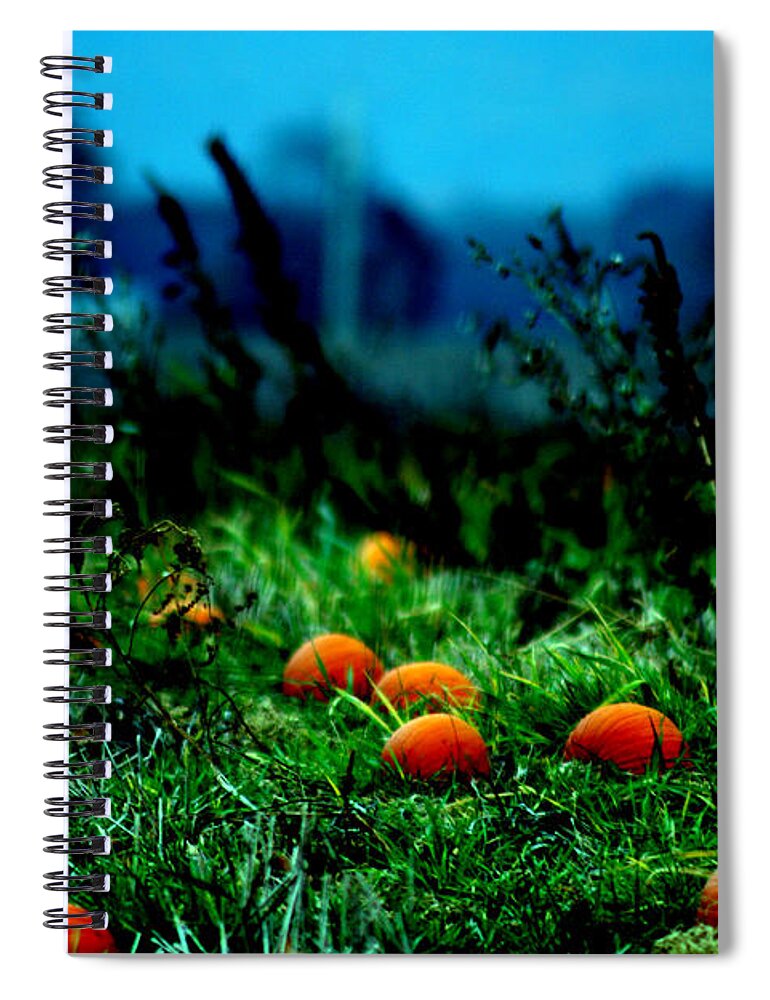 Pumkins Spiral Notebook featuring the photograph The Pumpkin Patch by Lesa Fine