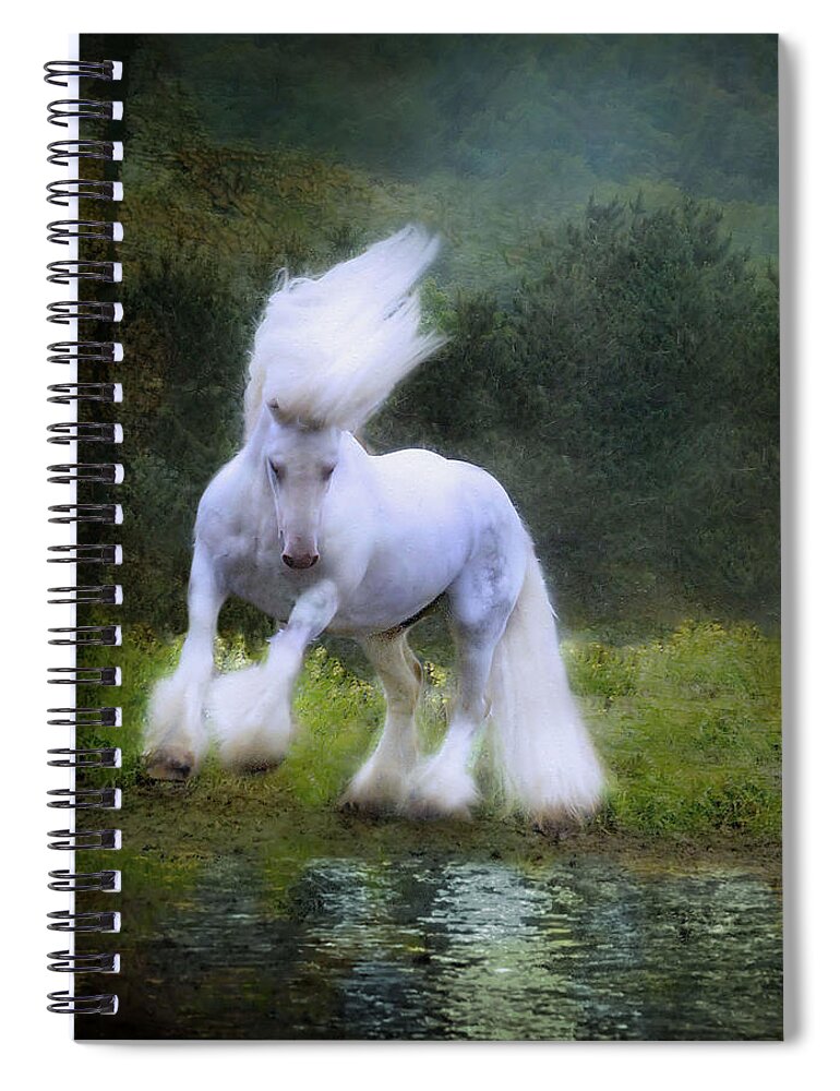 Water Spiral Notebook featuring the photograph The Reflection by Fran J Scott