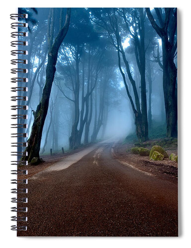 Forest Spiral Notebook featuring the photograph The road of kings by Jorge Maia