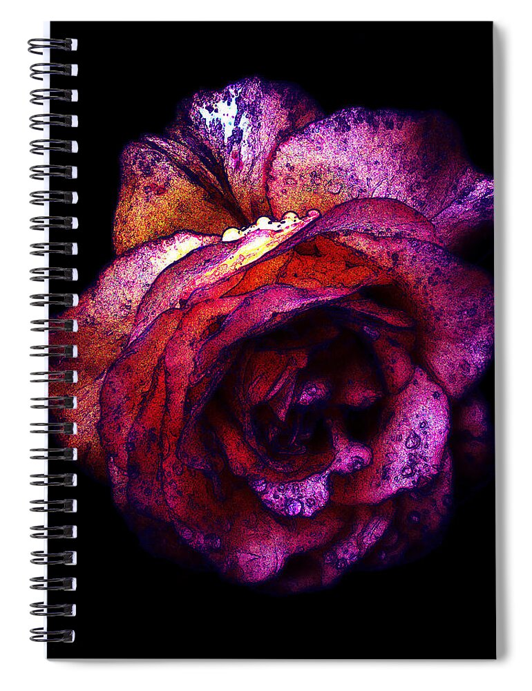 Royal Spiral Notebook featuring the photograph The Royal Rose by Stephanie Hollingsworth